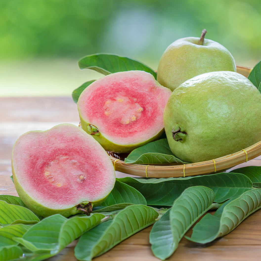 Barbie Pink' Guava