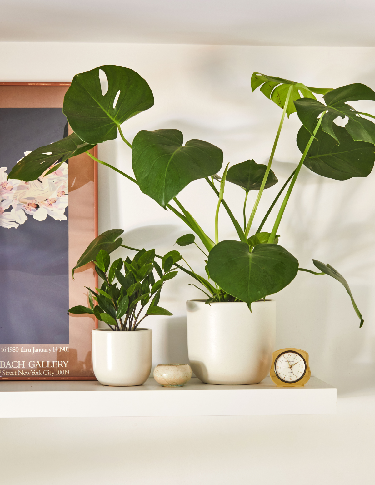 Small & Medium Grant Ceramic Planter Duo - Image 2