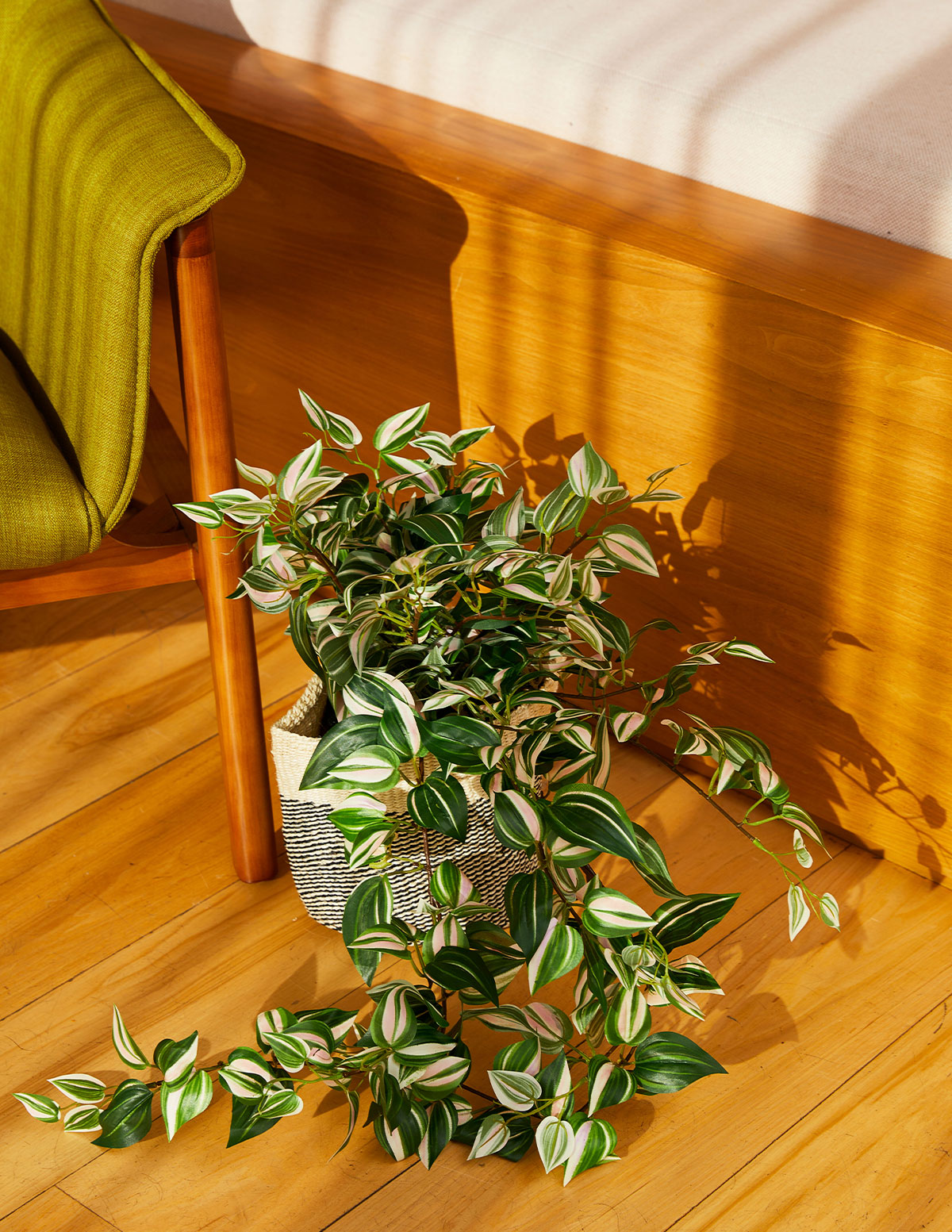 Artificial Tradescantia Zebrina