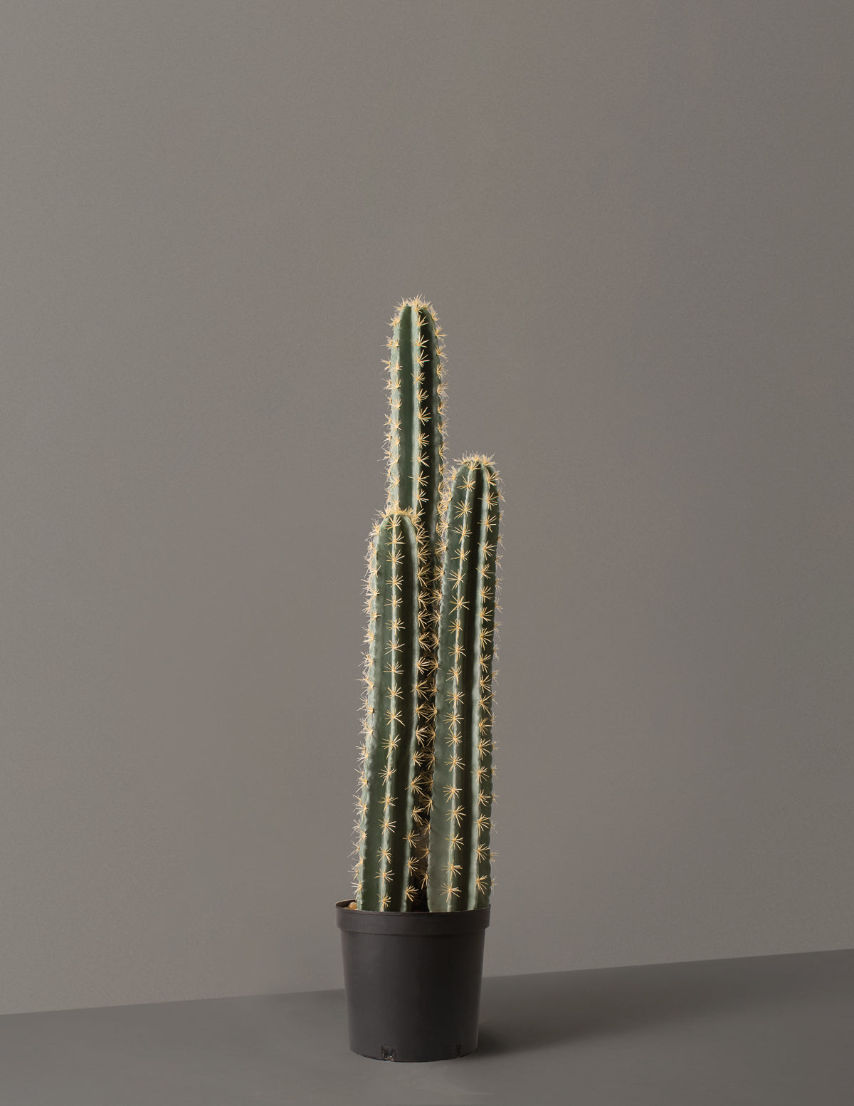 Artificial Floor Cactus