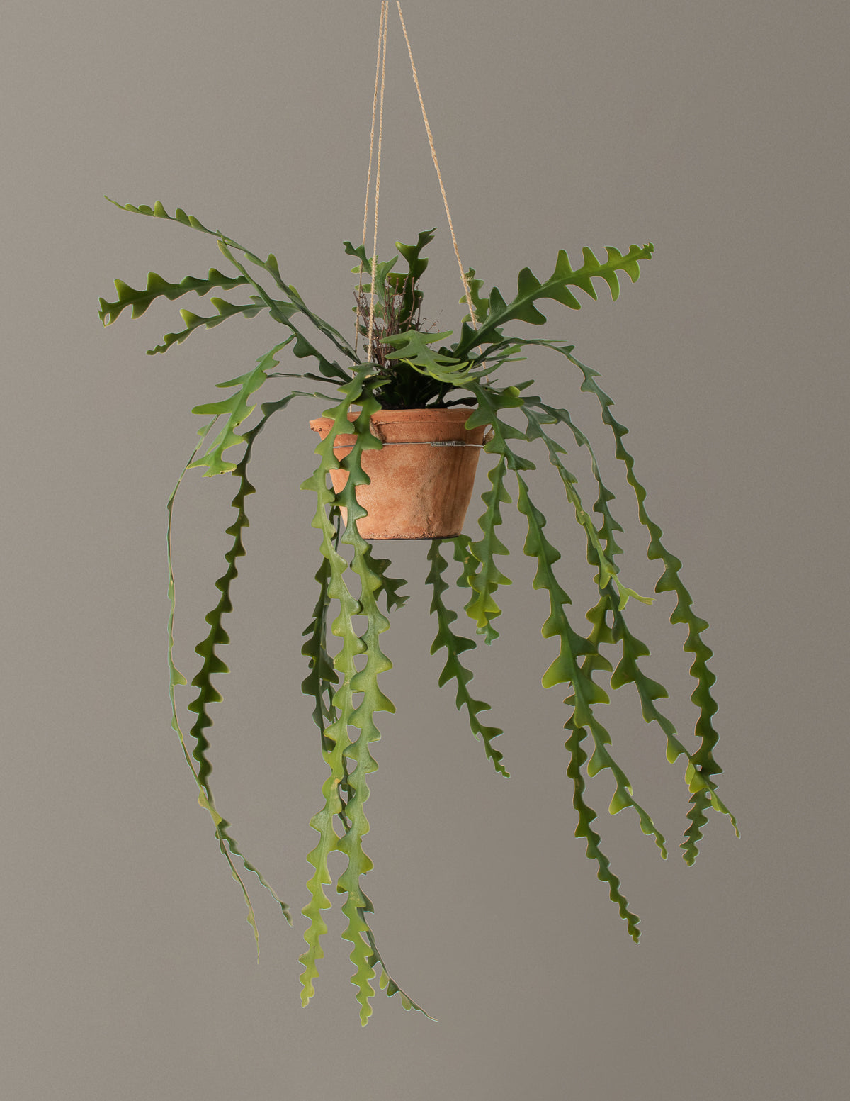 Artificial Hanging Ric Rac Cactus